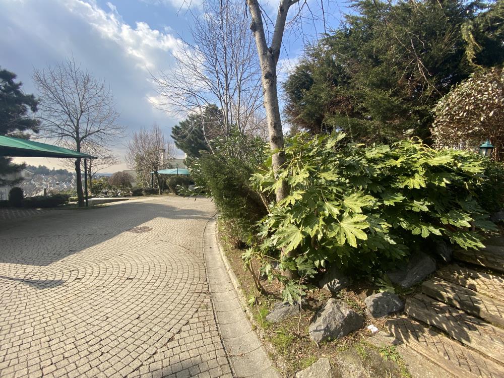BEYKOZ KONAKLARI AĞAÇLAR İÇERİSİNDE C TİPİ KONAK